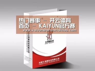 项目名称十三